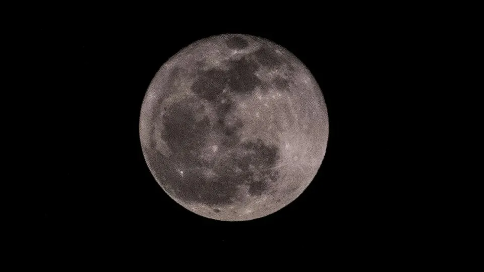 Фото: сommons.wikimedia/Nihal Sayyad