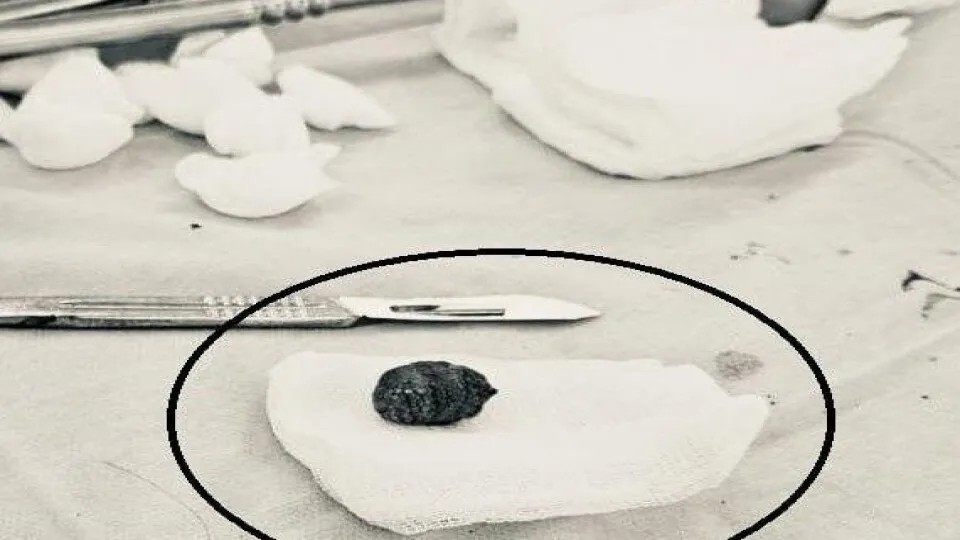 Фото: пресс-служба Минздрава МО