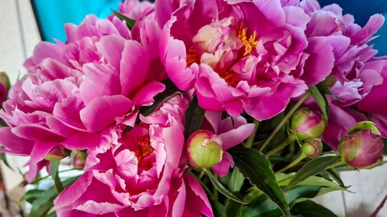 REGIONS/Юлия Габбасова