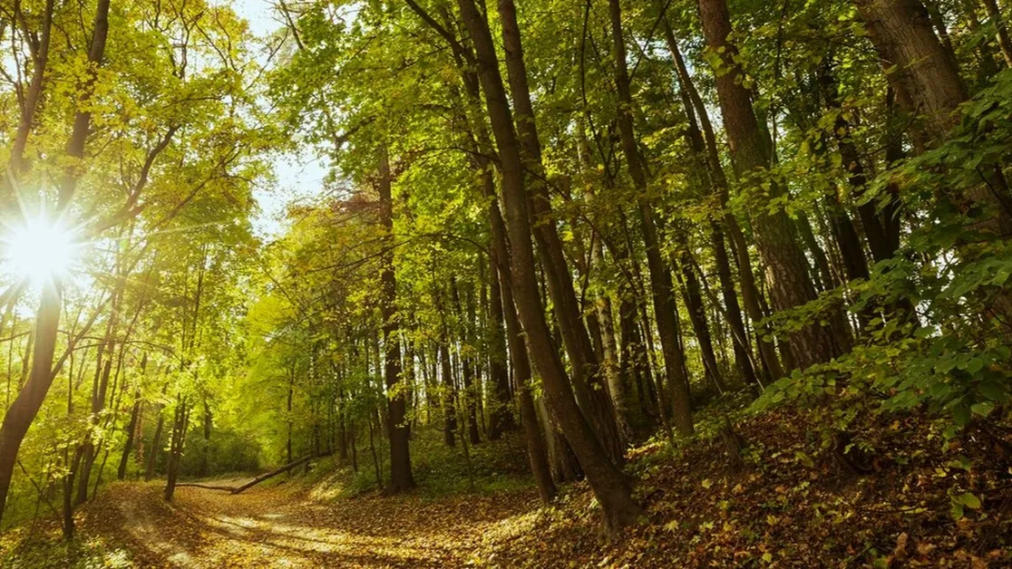 Фото: freepik.com