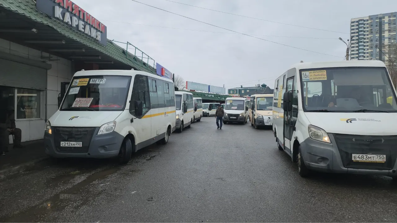 МедиаБанк Подмосковья/Наталья Лымарь