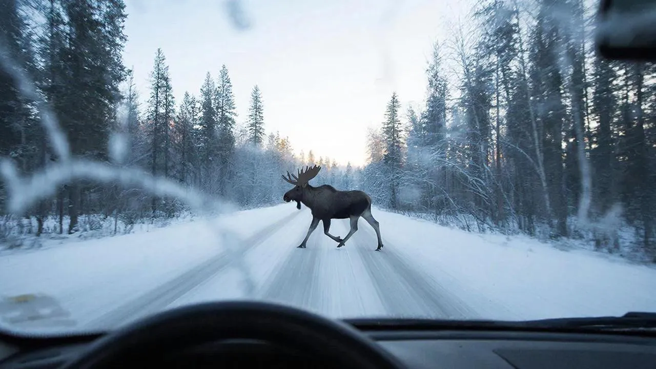 REGIONS/Сгенерировано нейросетью
