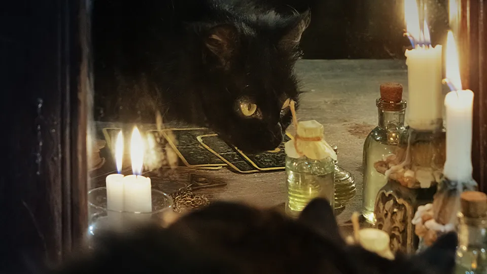 Фото: istockphoto.com