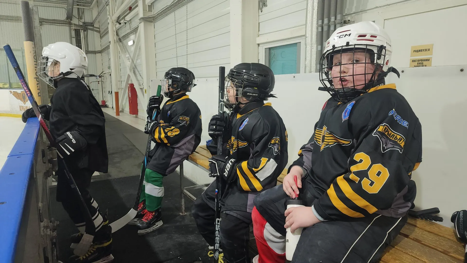 МедиаБанк Подмосковья/Юлия Смагринская