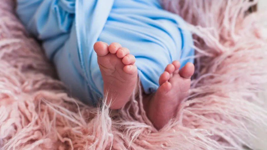 Фото: freepik.com