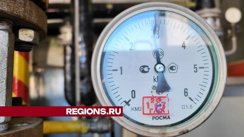 Фото: REGIONS/Александр Дрожжин