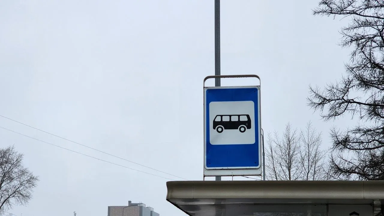 МедиаБанк Подмосковья/Ксения Пашуто