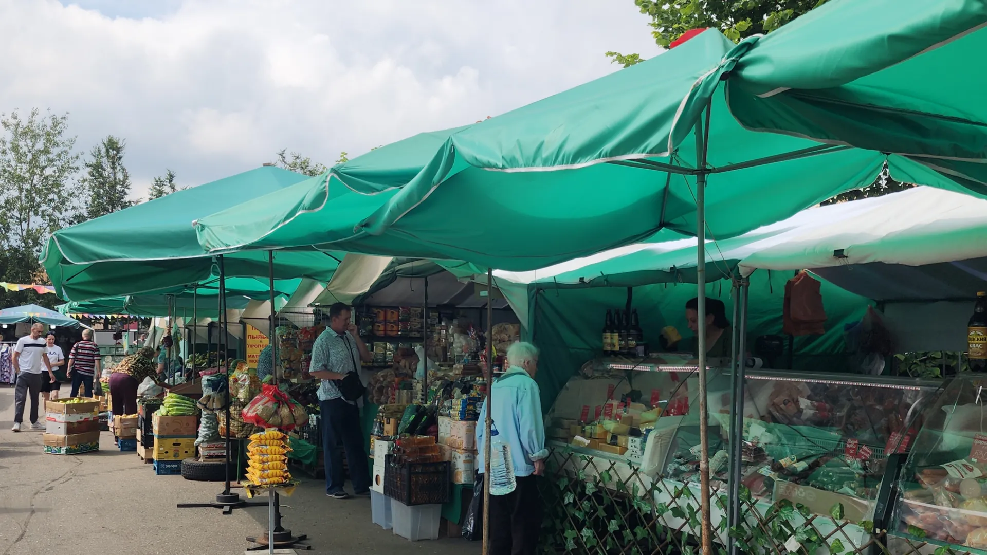 Фото: МедиаБанк Подмосковья/Хавива Фонина