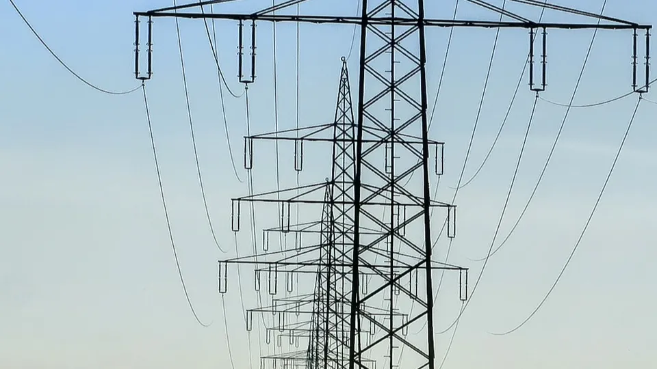 Фото: pxhere.com