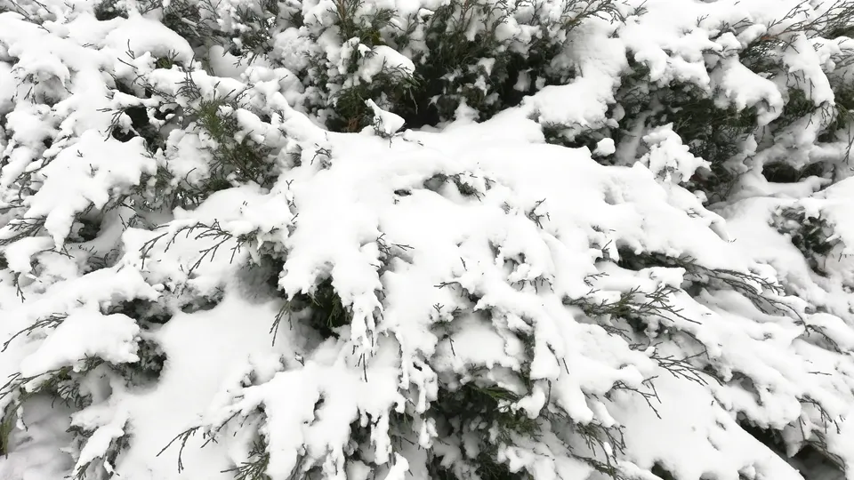 Фото: REGIONS/Дмитрий Кравцов