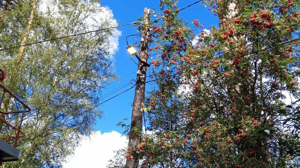 Фото: пресс-служба администрации г.о. Пушкинский