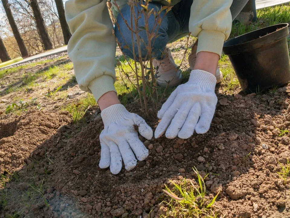 фото: Наталия Надточая&nbsp;