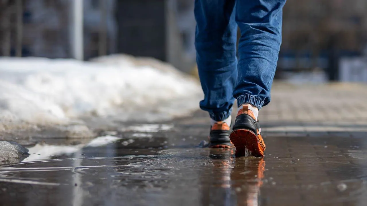 REGIONS/Владимир Ерастов