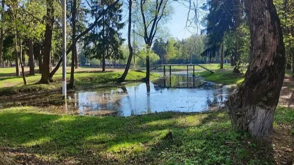 Фото: соцсети