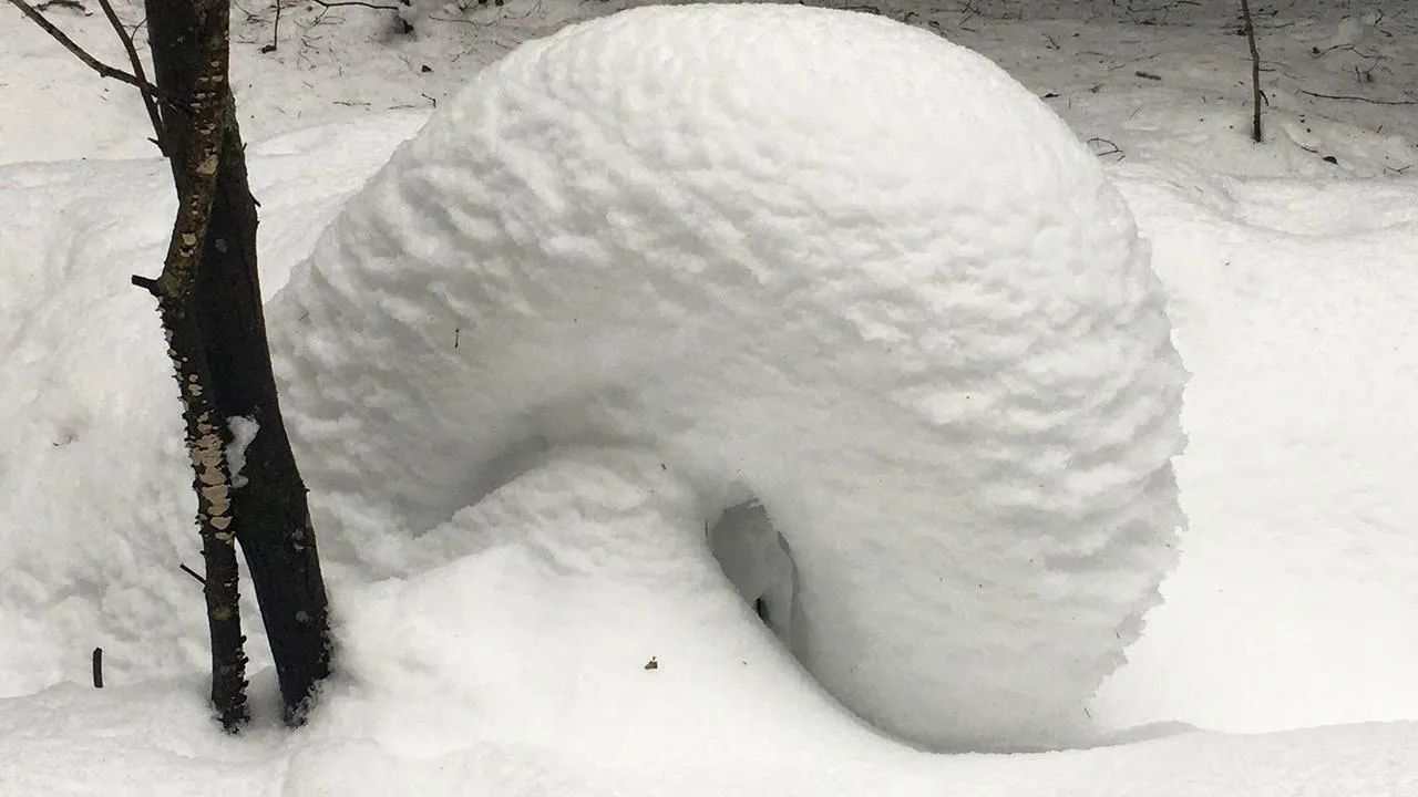 Андрей Синцов