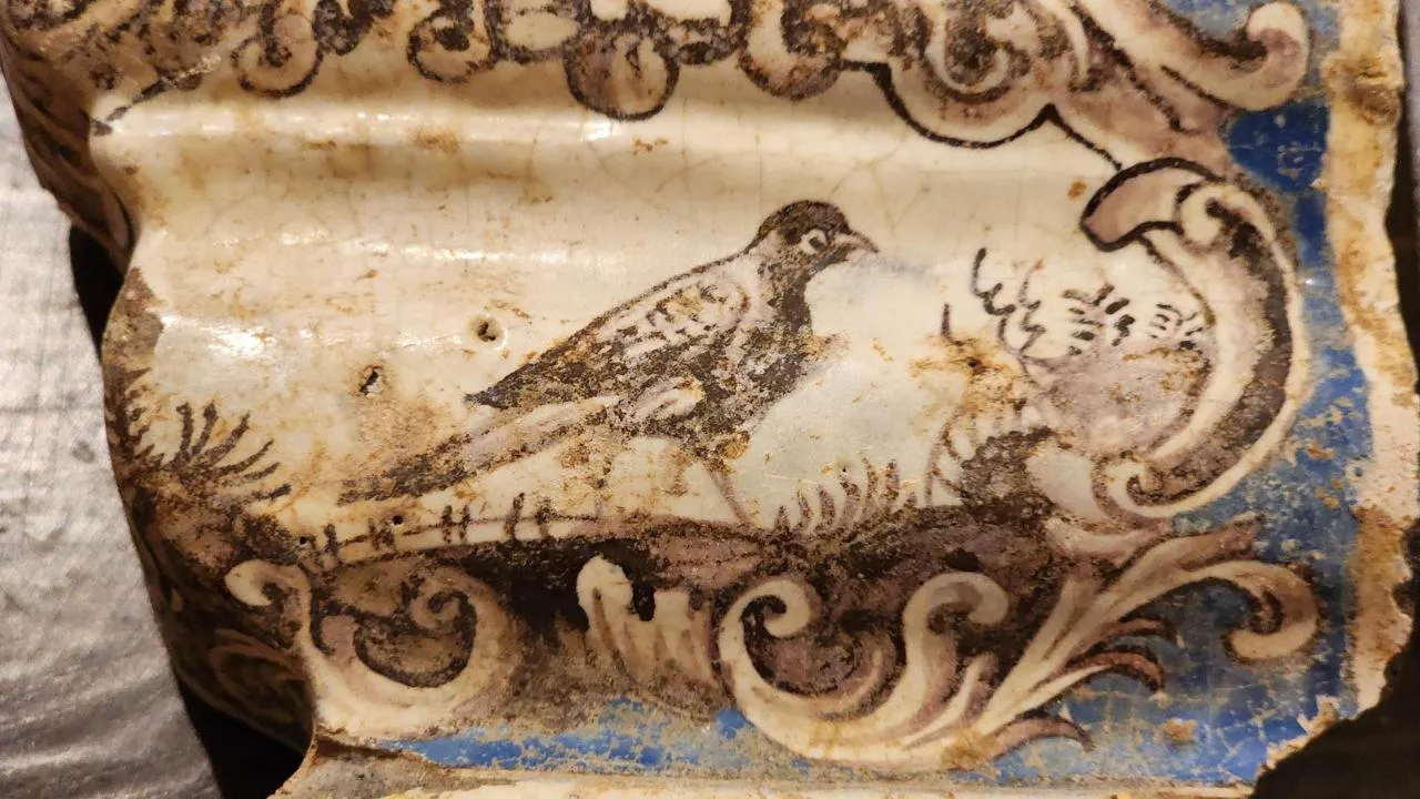 REGIONS/Елена Шумакова