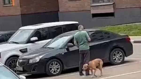 фото: «Московская область 24»