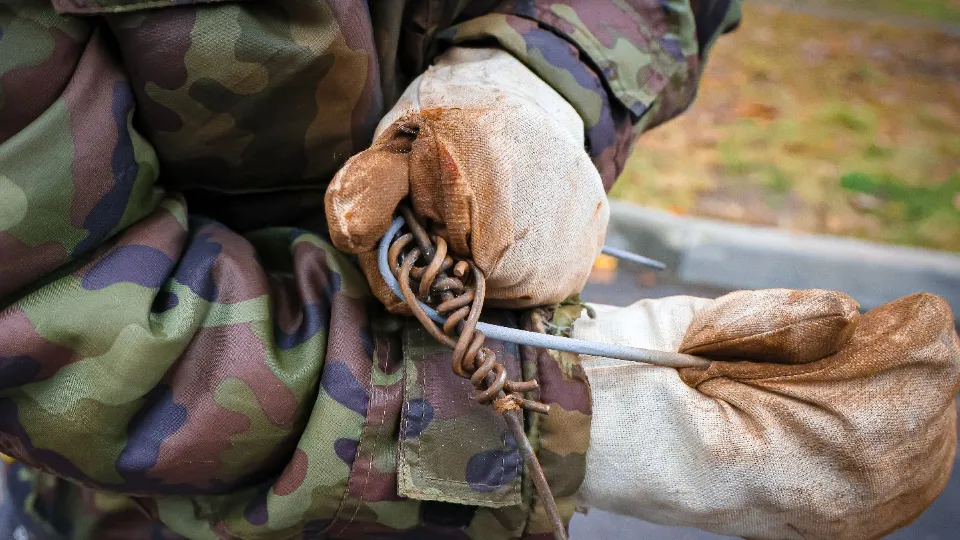 Фото: МедиаБанк Подмосковья/Данила Кирьянов