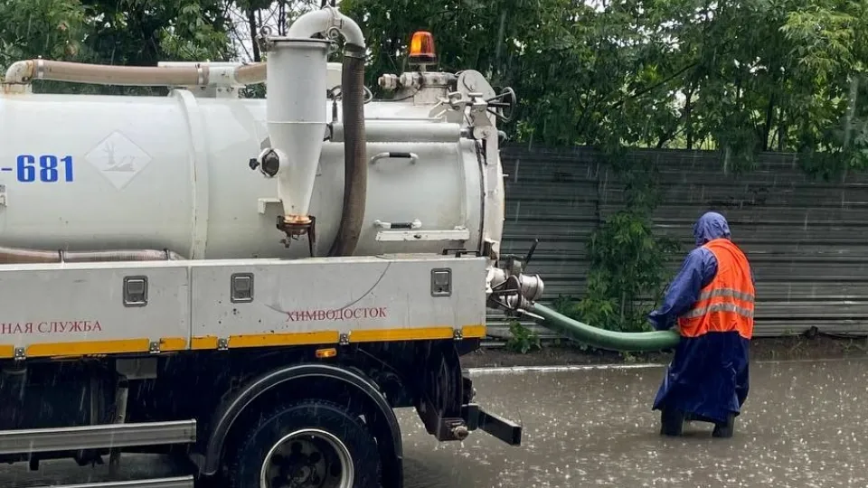 Фото: пресс-служба администрации г.о. Химки