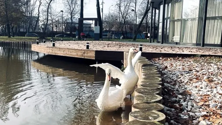 Фото: Администрация г.о. Серпухов