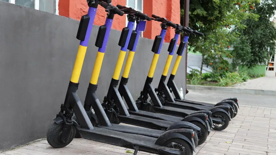 Фото: istockphoto.com/Alina Shilova