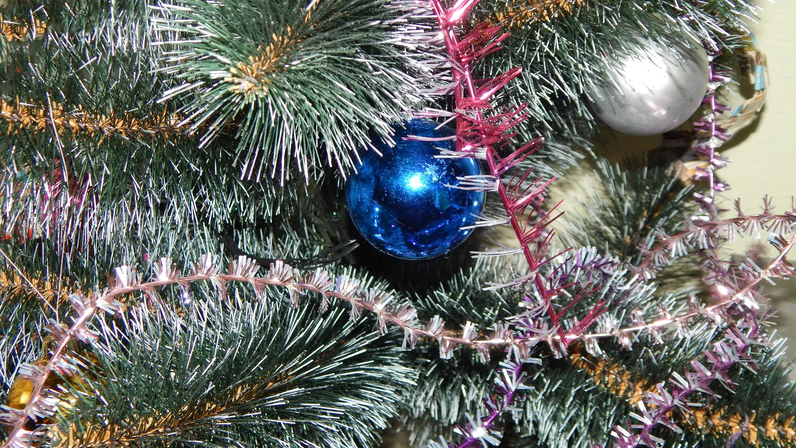 Фото: pxhere.com