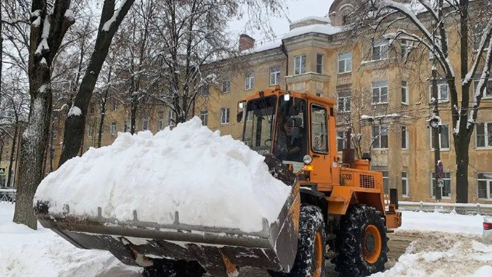 Фото: Медиабанк Подмосковья/Екатерина Елисеева