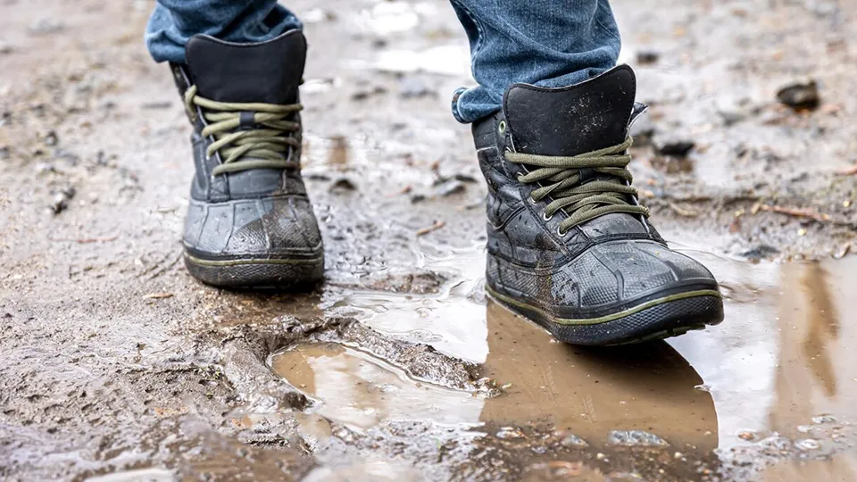 Фото: freepik.com