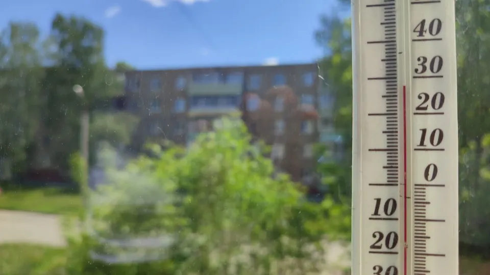 Фото: Елена Забелина