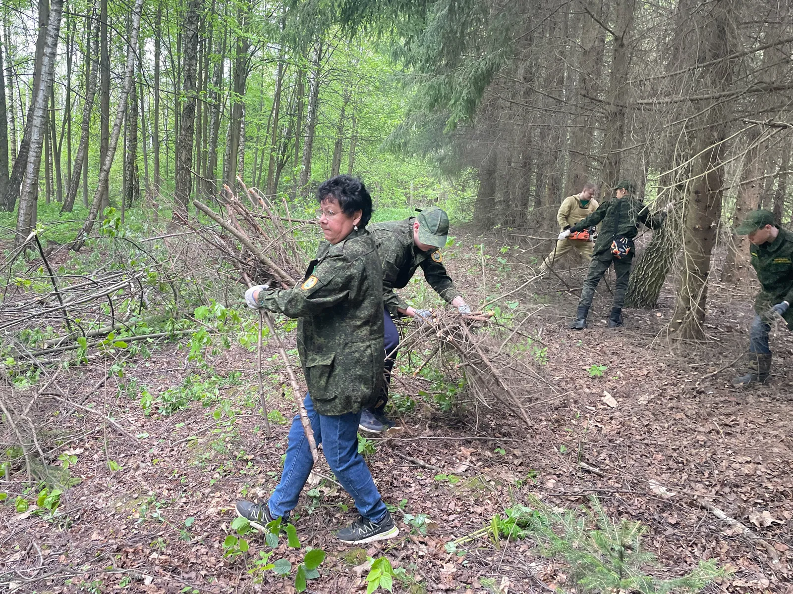 Фото: Ступинский филиал ГКУ МО «Мособллес»
