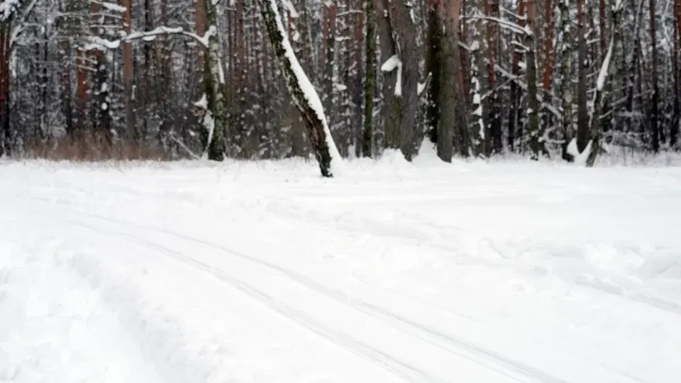 Фото: пресс-служба администрации г.о. Котельники