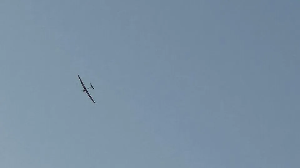 Фото: сommons.wikimedia/Avowedly