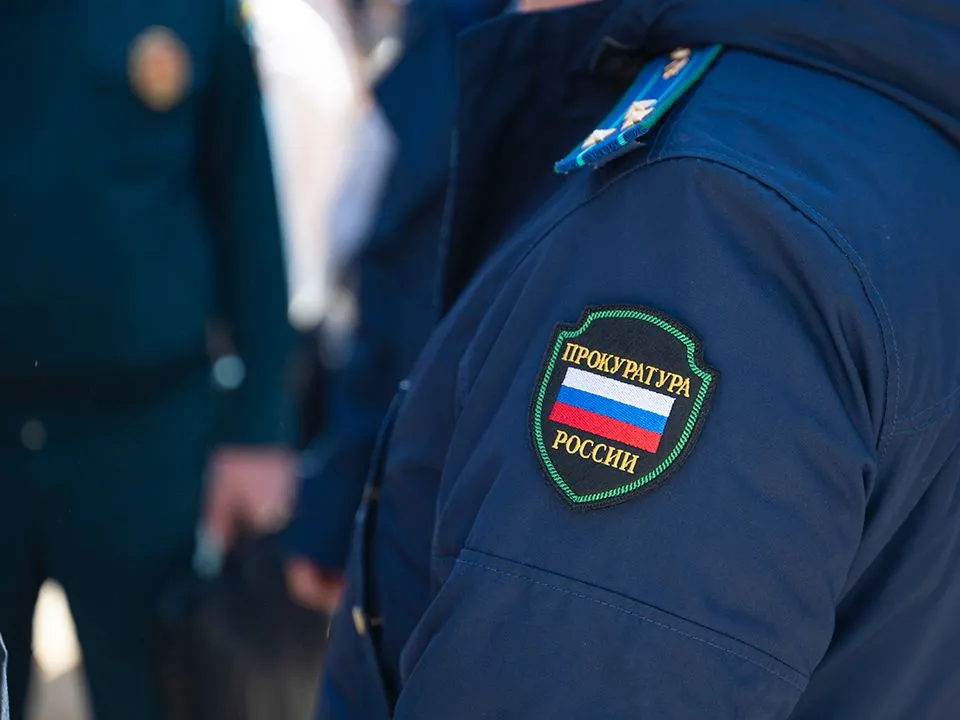Фото: пресс-служба прокуратуры Московской области&nbsp;