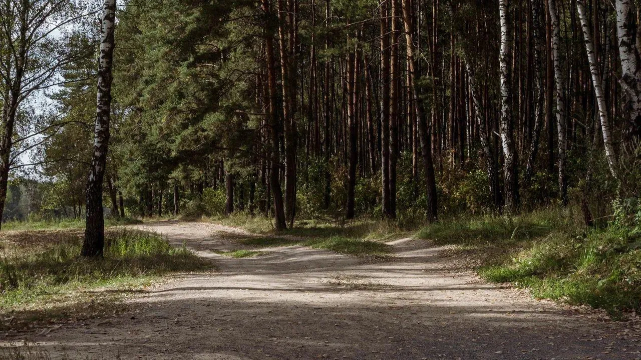 REGIONS/Наталья Надточая