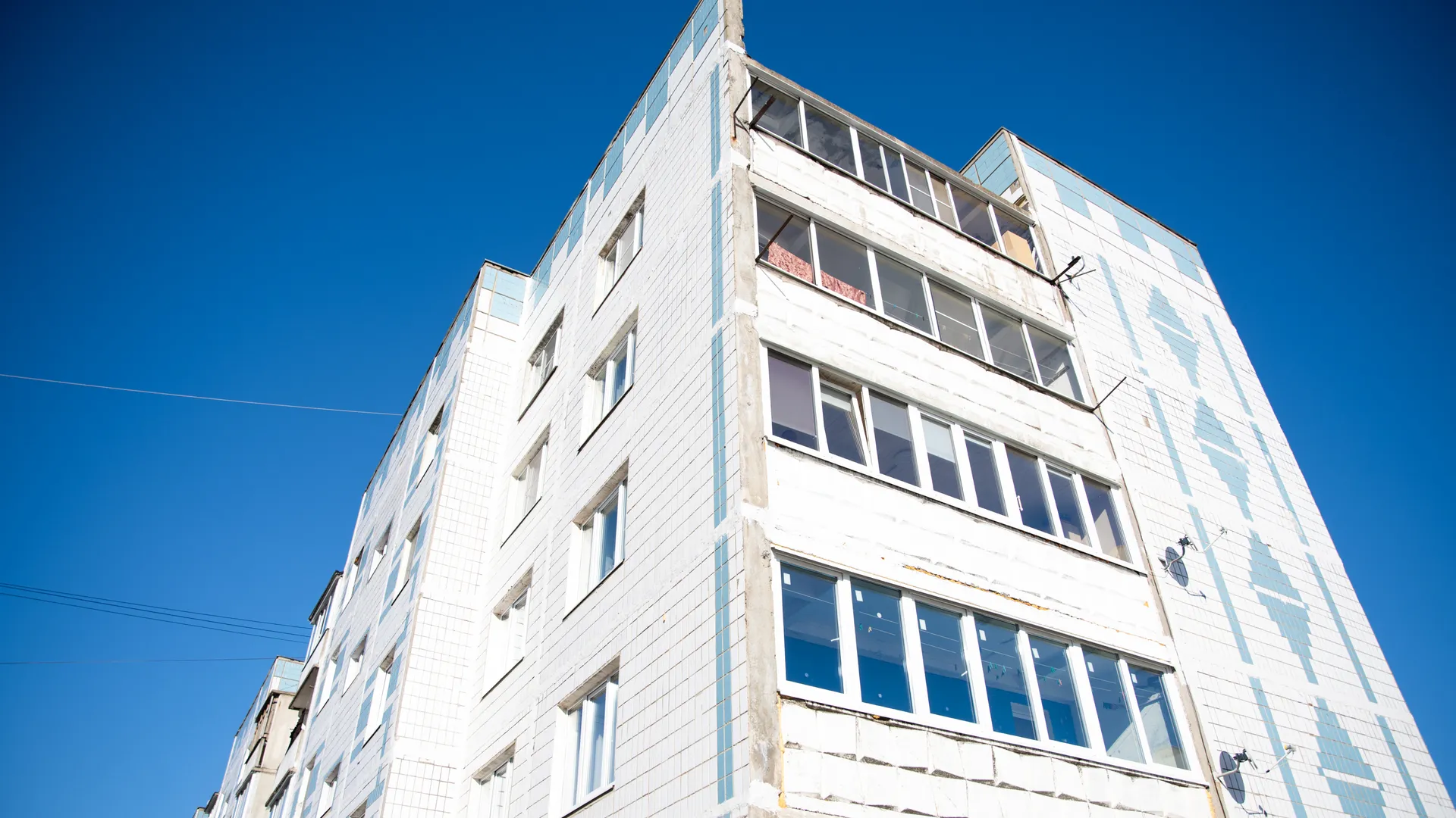 Фото: пресс-служба администрации Дмитровского г.о.