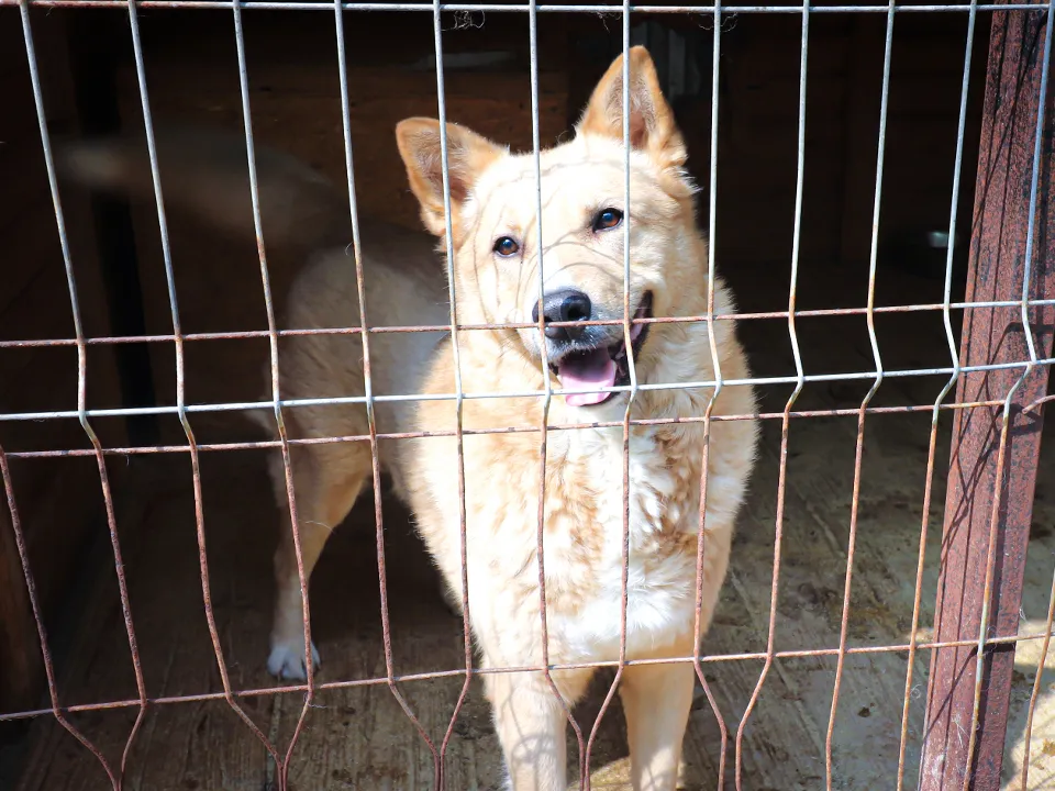 Фото: МедиаБанк Подмосковья/Данила Кирьянов