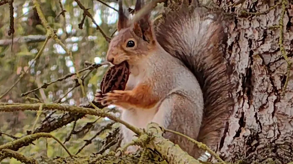 Фото: REGIONS/Елена Катасонова