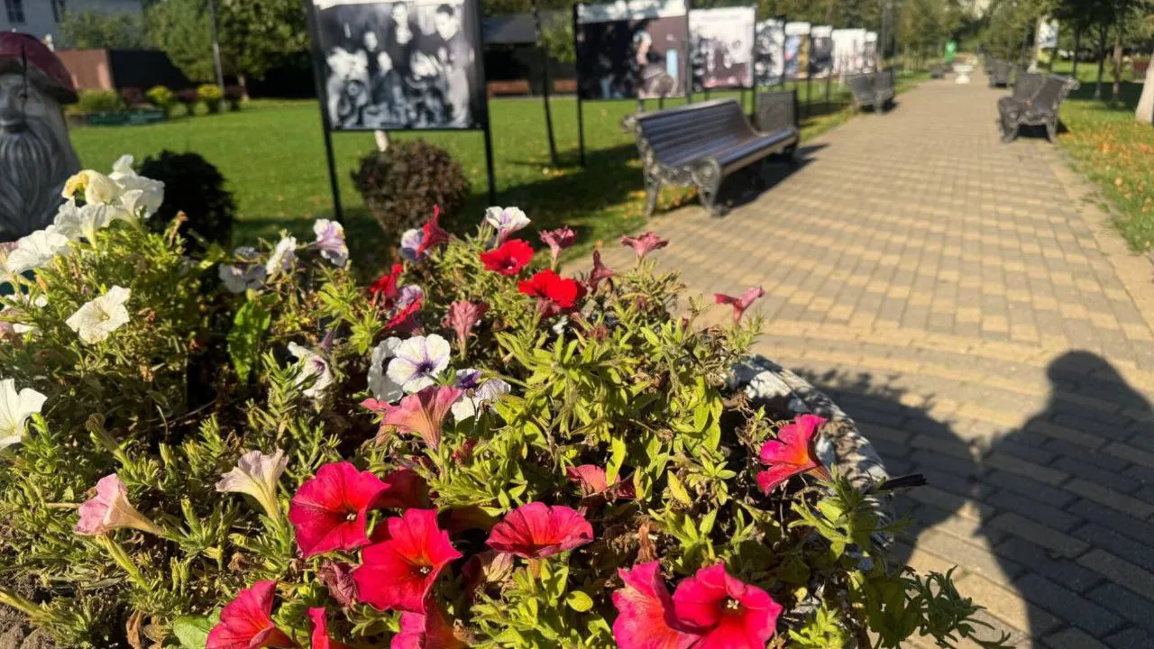 Фото: t.me/ParkVerbilki