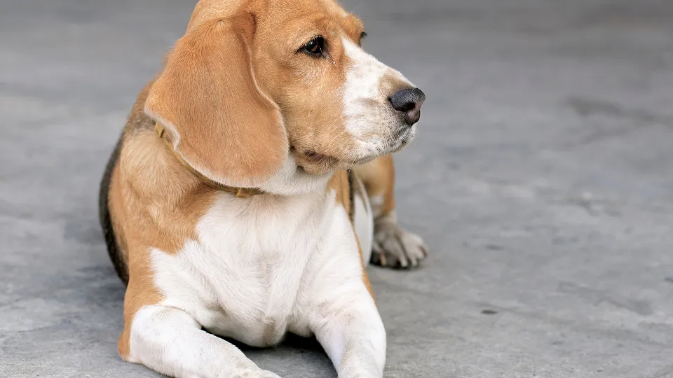 Фото: istockphoto.com