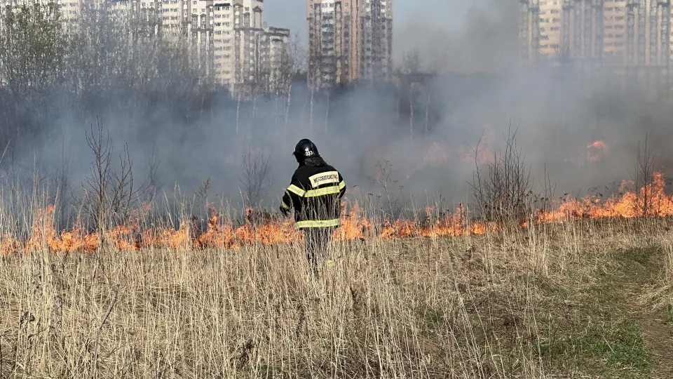 Фото: Эдуард Стратонов