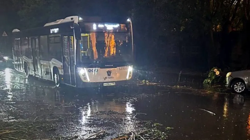 Фото: пресс-служба администрации г.о. Электросталь