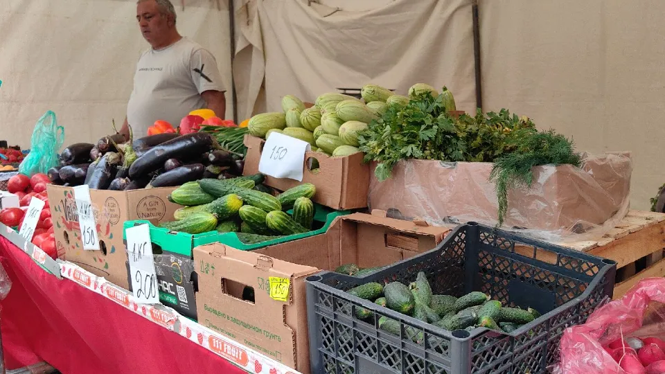 Фото: МедиаБанк Подмосковья/Елена Катасонова