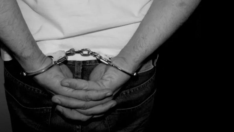 Двоих мигрантов, ограбивших 10 квартир, поймали в Подмосковье