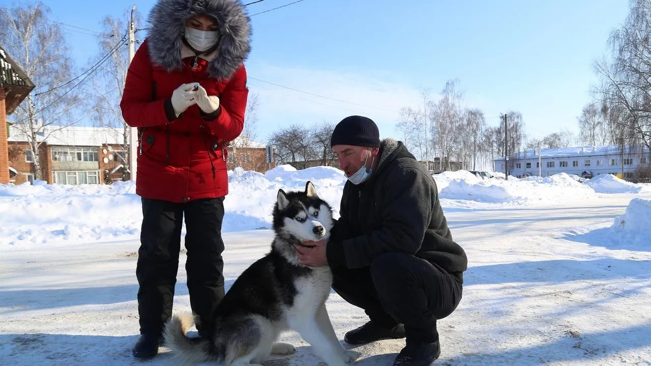 REGIONS/Александр Дрожжин