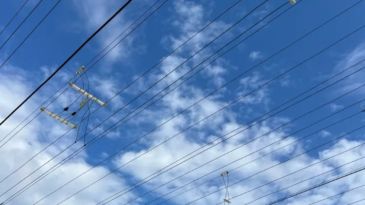 Фото: REGIONS/Татьяна Кордюкова