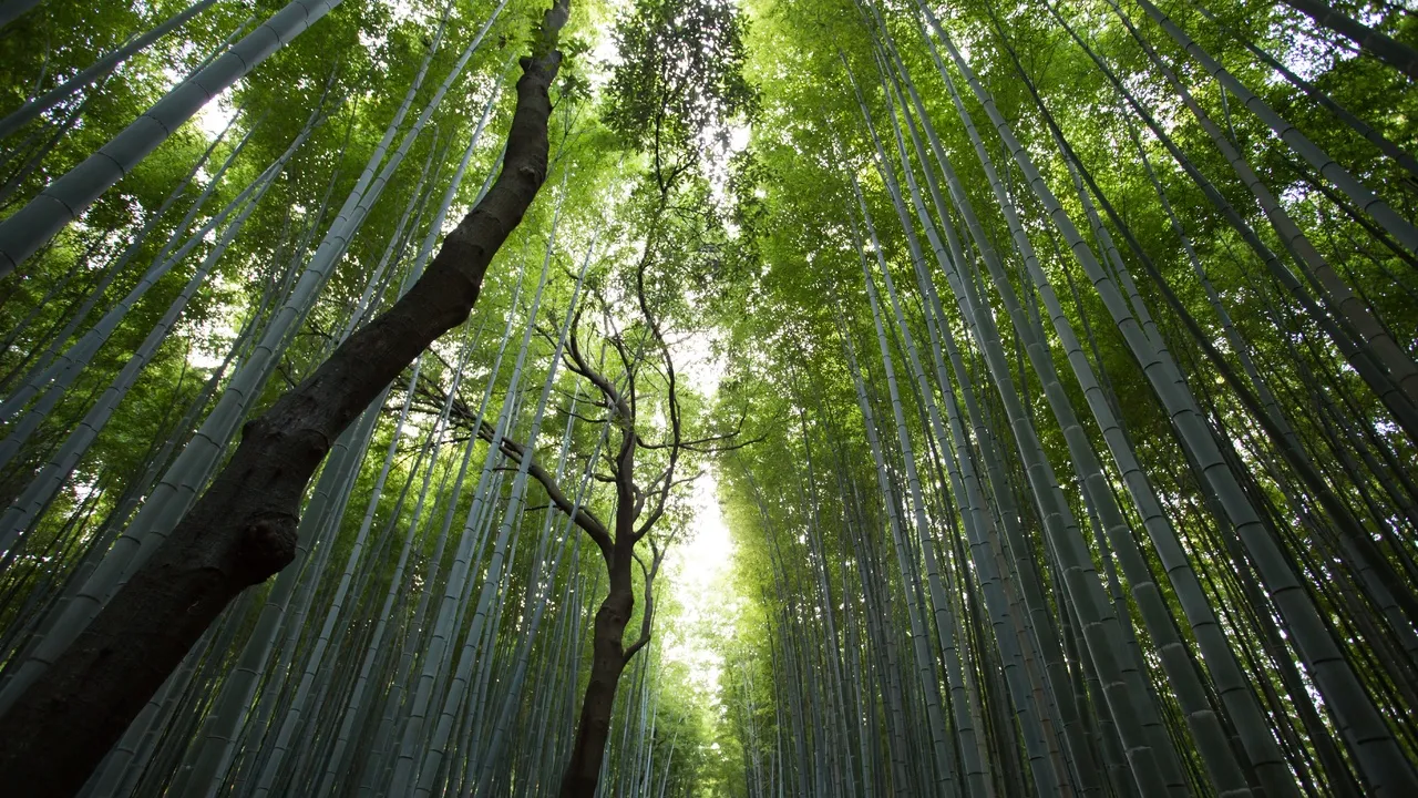 Фото: pxhere.com