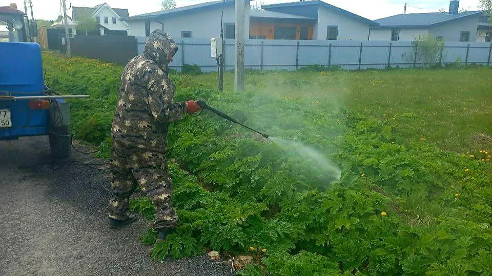 Фото: vk.com/Администрация городского округа Истра