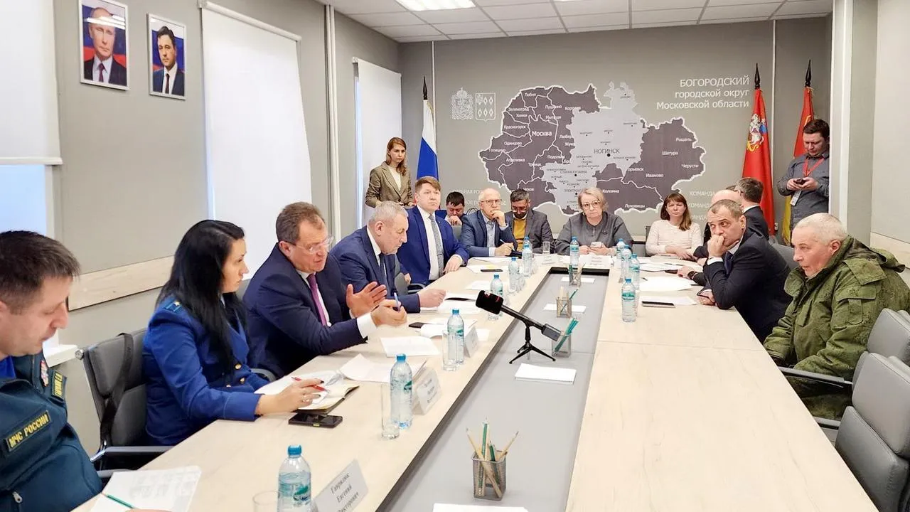 МедиаБанк Подмосковья/Ольга Аввакумова