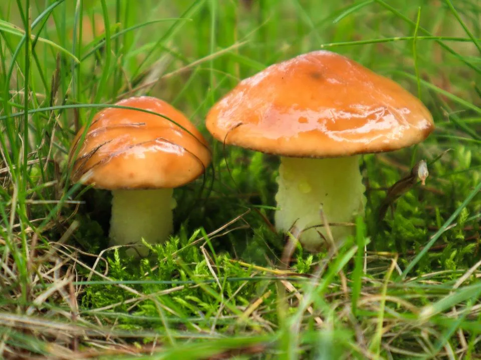 Фото: istockphoto.com