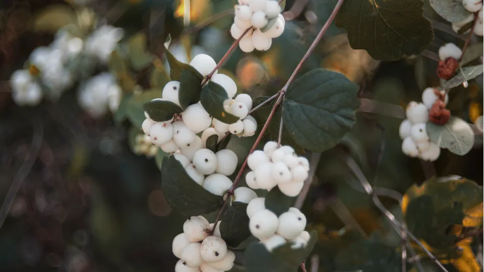 Фото: REGIONS/Наталия Надточая